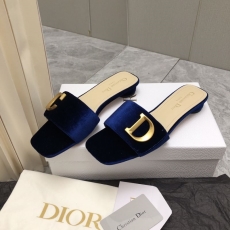 Christian Dior Slippers